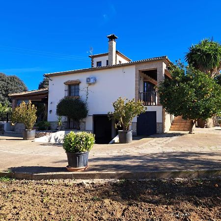 Willa Casa Albarracin Setenil De Las Bodegas Zewnętrze zdjęcie